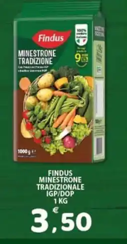 Premium Supermercati Findus minestrone tradizionale igp/dop offerta