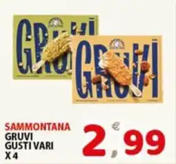Premium Supermercati Sammontana gruvi offerta