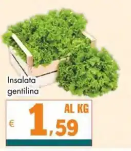 Altasfera Insalata gentilina offerta