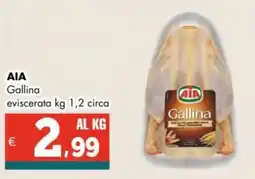 Altasfera AIA Gallina eviscerata offerta