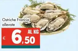 Altasfera Ostriche Francia allevate offerta