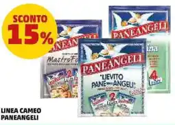 PENNY Linea cameo PANEANGELI offerta
