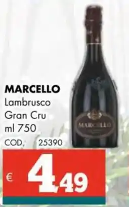 Altasfera MARCELLO Lambrusco Gran Cru offerta