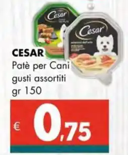 Altasfera CESAR Patè per Cani offerta
