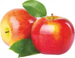 MD Discount MELE FUJI offerta