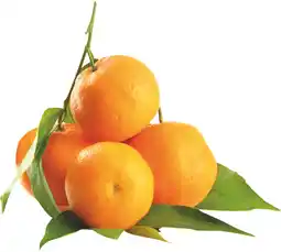 MD Discount CLEMENTINE offerta