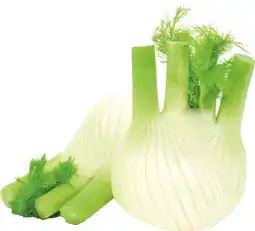 MD Discount FINOCCHI offerta