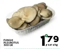 Extra Supermercati Funghi pleurotus offerta