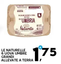 Extra Supermercati Le naturelle 6 uova umbre grandi allevate a terra offerta