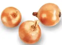 Esselunga Cipolla di voghera offerta