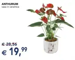 Esselunga Anthurium offerta