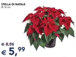 Esselunga Stella di natale ø 16 cm offerta