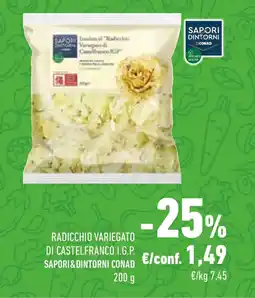 Conad Radicchio variegato di castelfranco i.g.p. SAPORI&DINTORNI CONAD offerta