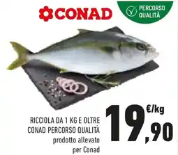 Conad Ricciola e oltre CONAD PERCORSO QUALITÀ offerta