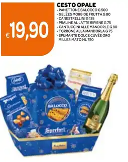 Ekom Cesto opale offerta