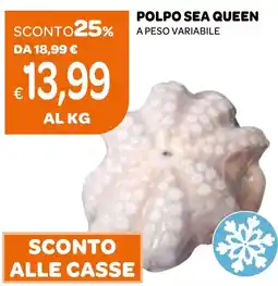 Ekom Polpo SEA QUEEN offerta