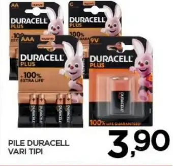 Interspar Pile plus 100% extra life offerta