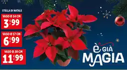 Deco Supermercati Stella di natale vaso ø 14 cm offerta