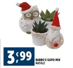 Deco Supermercati Babbo e gufo mix natale offerta