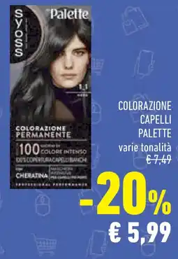 Conad Superstore Colorazione capelli palette offerta