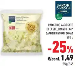 Conad Superstore Radicchio variegato di castelfranco I.G.P. SAPORI&DINTORNI CONAD offerta