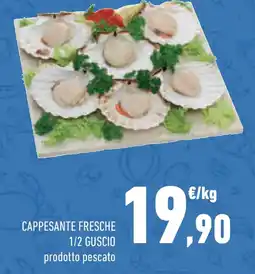 Conad Superstore Cappesante fresche 1/2 guscio offerta