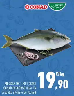 Conad Superstore Ricciola e oltre CONAD PERCORSO QUALITÀ offerta
