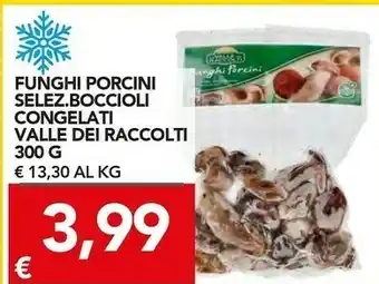 TuoDi Funghi porcini 300 g offerta