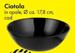 Tedi Ciotola offerta