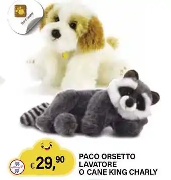 Paco orsetto lavatore o cane king charly