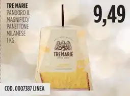 Carico Cash & Carry Tre marie pandoro il magnifico/ panettone milanese offerta