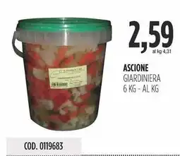Carico Cash & Carry Ascione giardiniera offerta