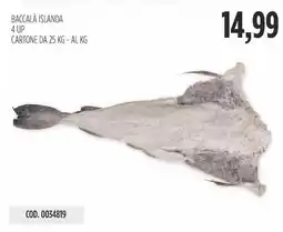 Carico Cash & Carry Baccalà islanda 4 up offerta