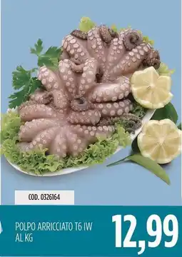 Carico Cash & Carry POLPO ARRICCIATO T6 IW offerta