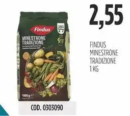 Carico Cash & Carry Findus minestrone tradizione offerta