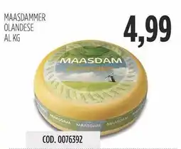 Carico Cash & Carry Maasdammer olandese offerta