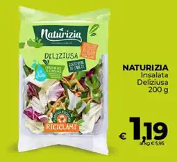 Ipercoop NATURIZIA Insalata Deliziusa offerta
