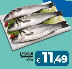 Ipercoop Spigole 300/400 offerta