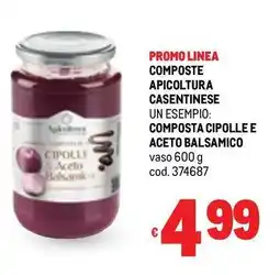 Metro Composte apicoltura casentinese composta cipolle e aceto balsamico offerta