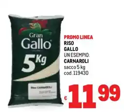 Metro Riso gallo carnaroli sacco offerta