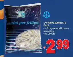 Metro Latterino surgelato itaca offerta
