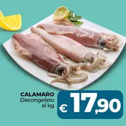 Ipercoop CALAMARO Decongelato offerta