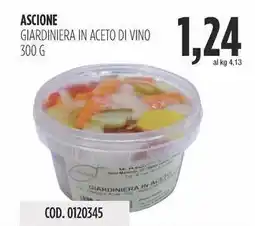 Carico Cash & Carry Ascione giardiniera in aceto di vino offerta