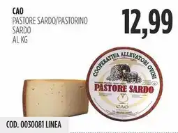 Carico Cash & Carry Cao pastore sardo/pastorino sardo offerta