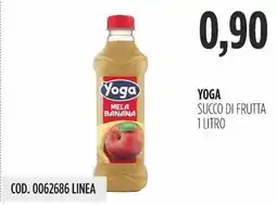 Carico Cash & Carry Yoga succo di frutta offerta