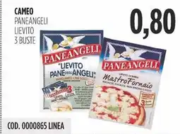 Carico Cash & Carry Cameo paneangeli lievito 3 buste offerta