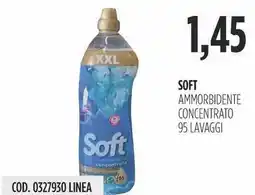 Carico Cash & Carry Soft ammorbidente concentrato offerta