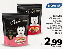 Ipercoop CESAR Cibo secco per cani manzo fresco e pollame/ pollo fresco e salmone offerta