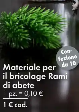 Tedi Materiale per il bricolage Rami di abete offerta