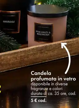 Tedi Candela profumata in vetro offerta